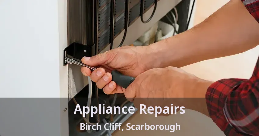 Appliance Repairs Birch Cliff, Scarborough - ON