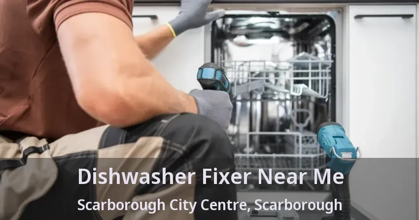 Dishwasher Fixer Near Me Scarborough City Centre, Scarborough - ON