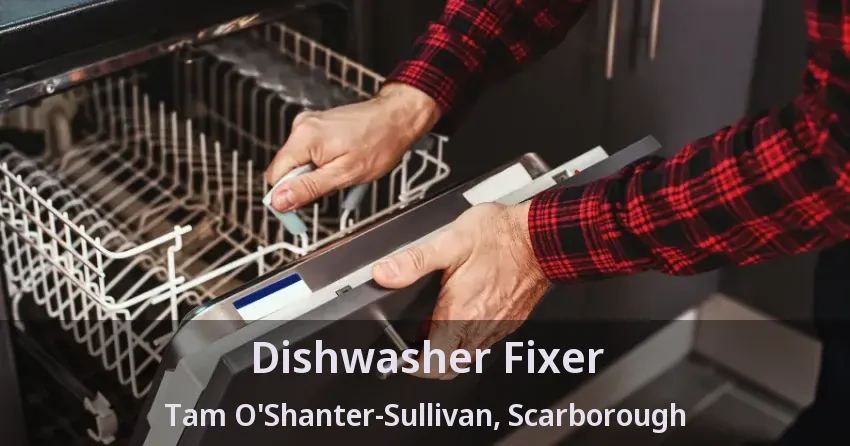 Dishwasher Fixer Tam O'Shanter-Sullivan, Scarborough - ON