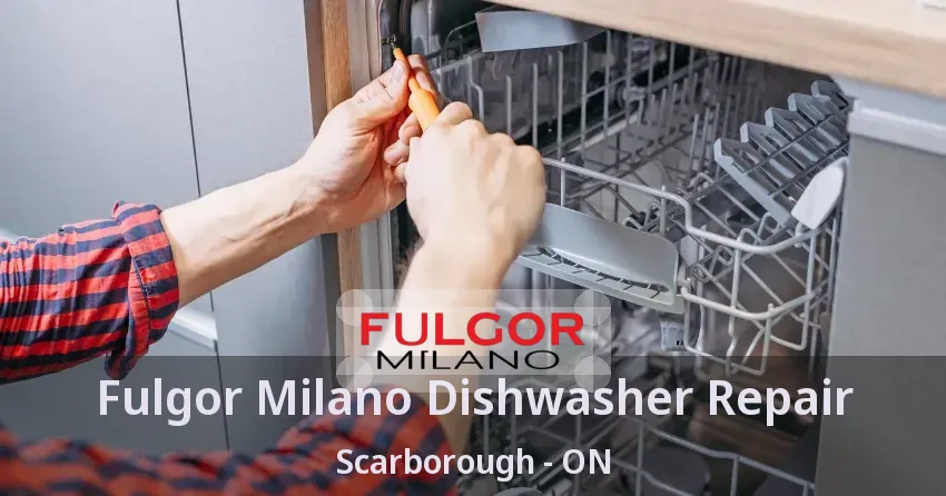 Fulgor Milano Dishwasher Repair Scarborough - ON