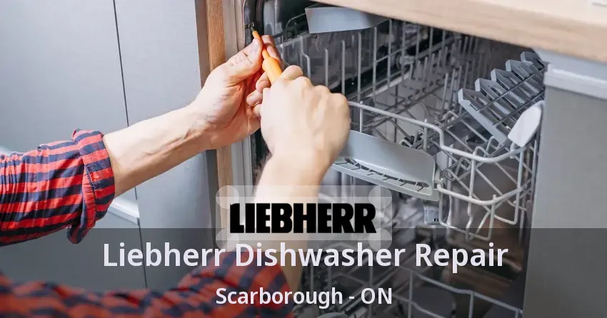 Liebherr Dishwasher Repair Scarborough - ON