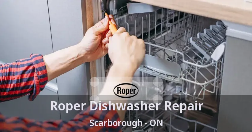 Roper Dishwasher Repair Scarborough - ON