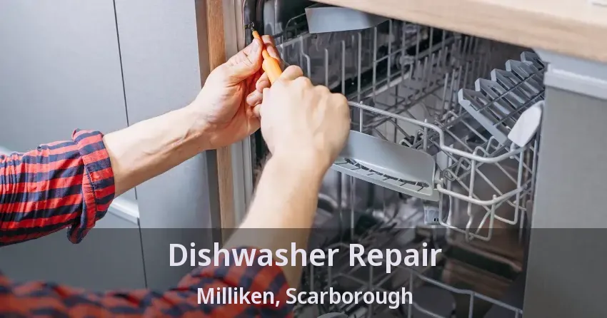 Dishwasher Repair Milliken, Scarborough - ON