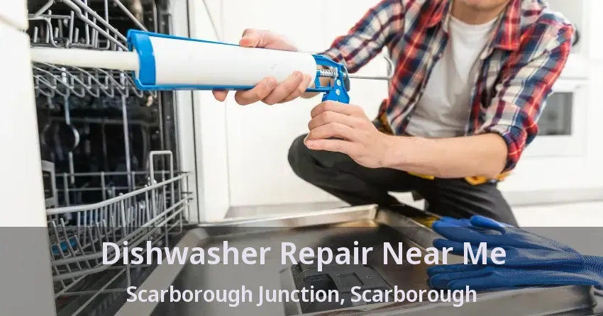 Dishwasher Repair Near Me Scarborough Junction, Scarborough - ON