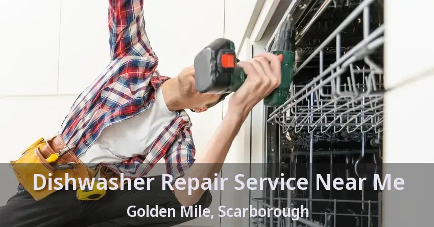 Dishwasher Repair Service Near Me Golden Mile, Scarborough - ON