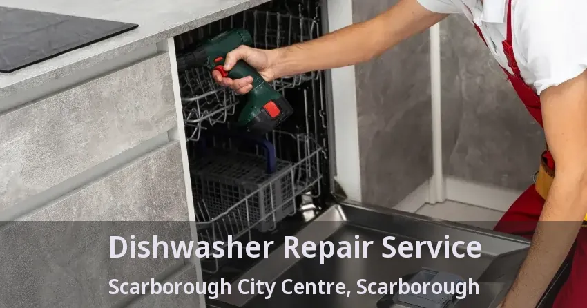 Dishwasher Repair Service Scarborough City Centre, Scarborough - ON