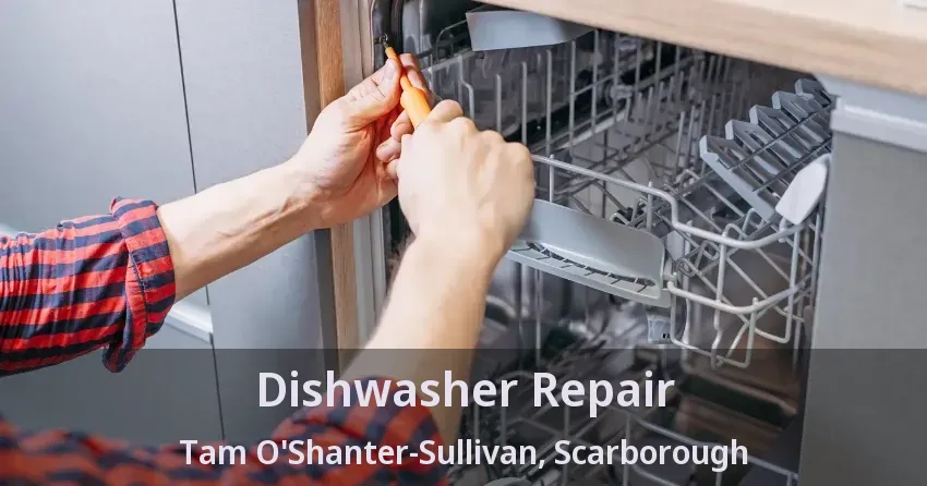 Dishwasher Repair Tam O'Shanter-Sullivan, Scarborough - ON