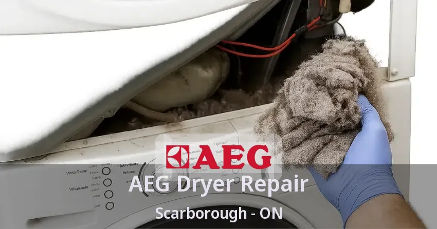 AEG Dryer Repair Scarborough - ON