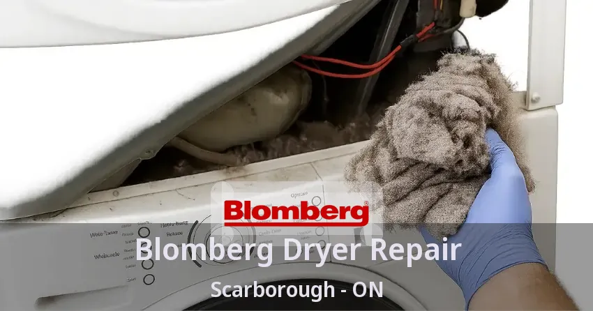 Blomberg Dryer Repair Scarborough - ON
