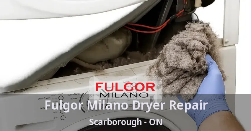 Fulgor Milano Dryer Repair Scarborough - ON