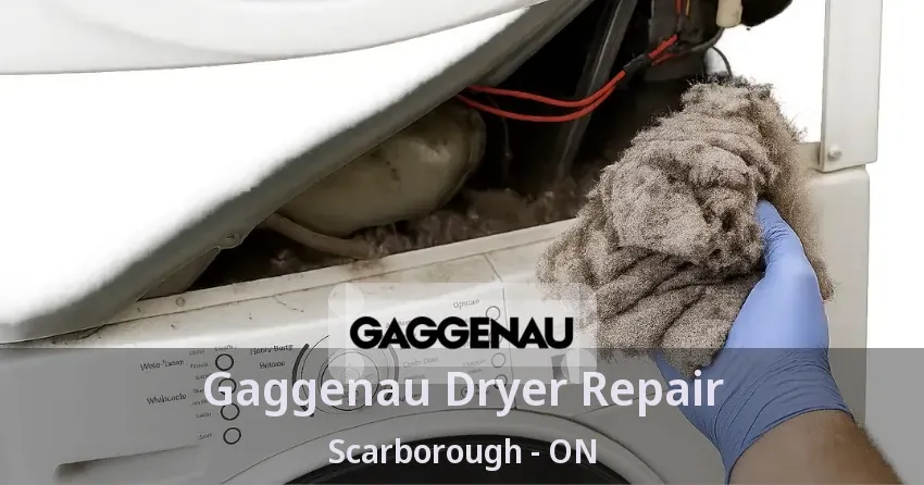 Gaggenau Dryer Repair Scarborough - ON