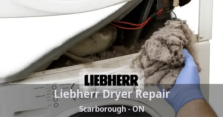 Liebherr Dryer Repair Scarborough - ON
