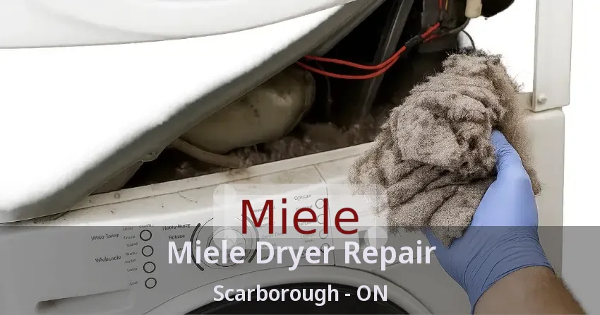 Miele Dryer Repair Scarborough - ON