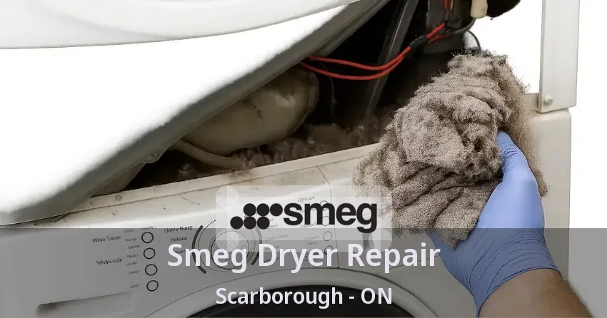 Smeg Dryer Repair Scarborough - ON