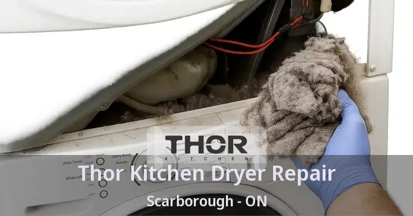 Thor Kitchen Dryer Repair Scarborough - ON