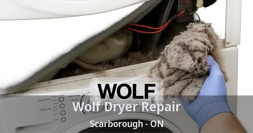 Wolf Dryer Repair Scarborough - ON