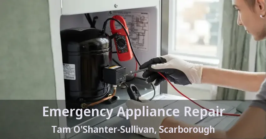 Emergency Appliance Repair Tam O'Shanter-Sullivan, Scarborough - ON