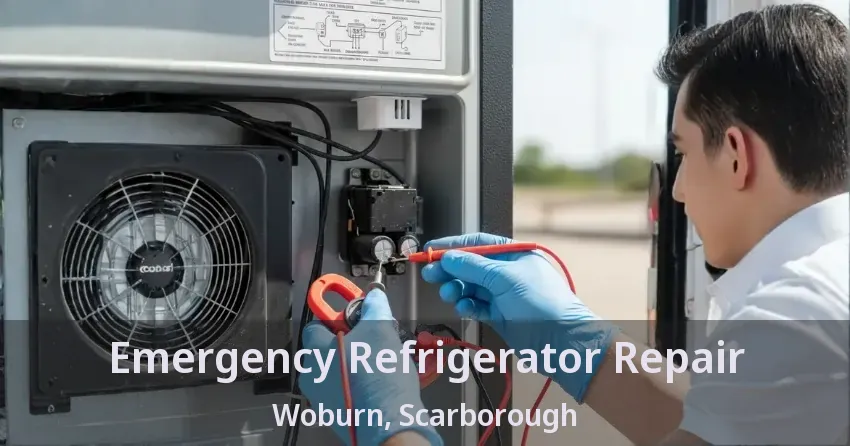 Emergency Refrigerator Repair Woburn, Scarborough - ON