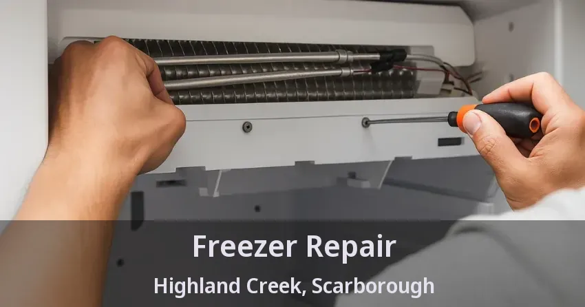 Freezer Repair Highland Creek, Scarborough - ON