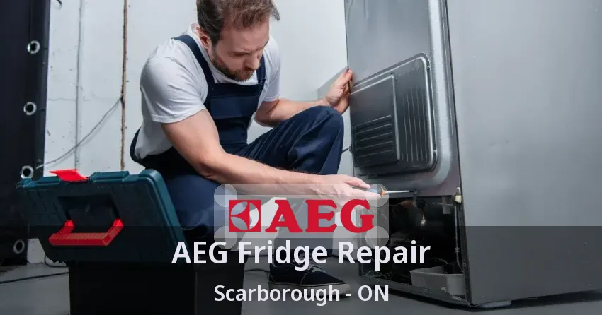 AEG Fridge Repair Scarborough - ON
