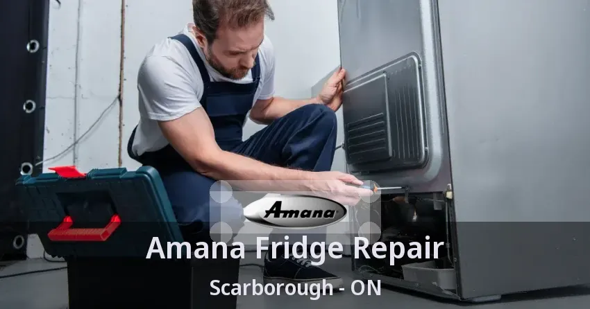 Amana Fridge Repair Scarborough - ON