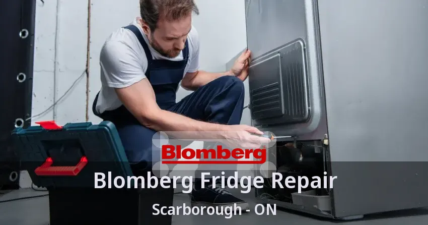 Blomberg Fridge Repair Scarborough - ON