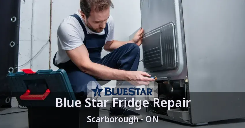 Blue Star Fridge Repair Scarborough - ON