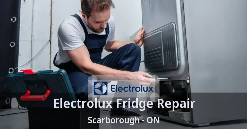 Electrolux Fridge Repair Scarborough - ON