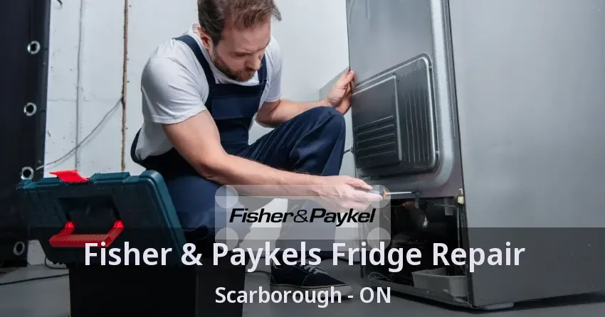 Fisher & Paykels Fridge Repair Scarborough - ON