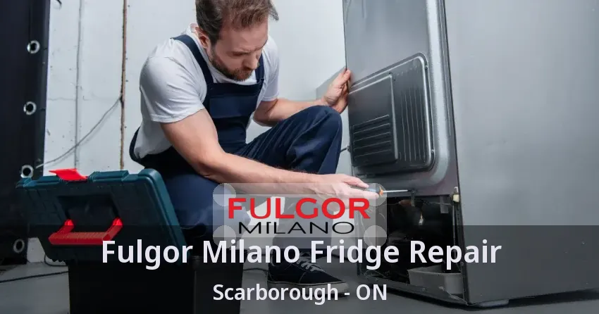 Fulgor Milano Fridge Repair Scarborough - ON