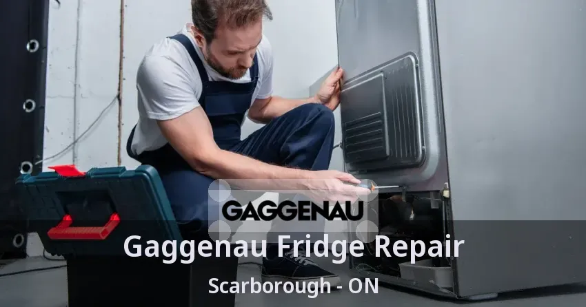 Gaggenau Fridge Repair Scarborough - ON