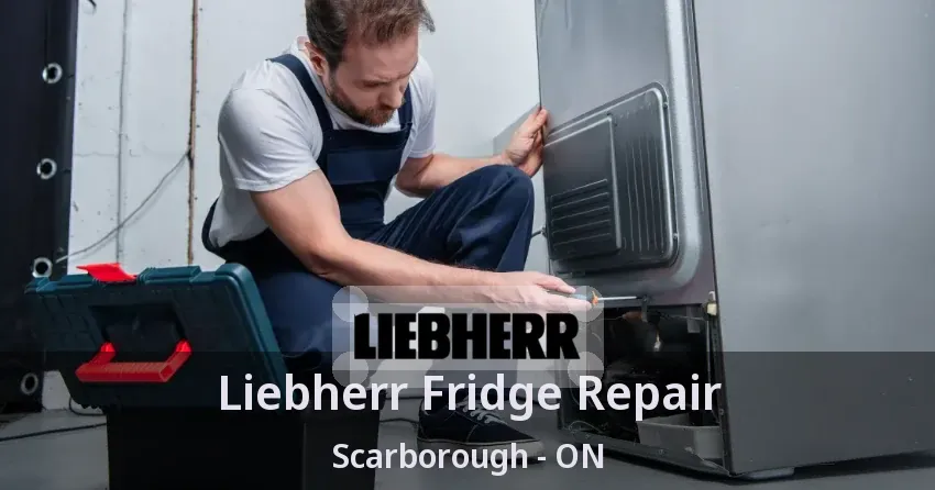 Liebherr Fridge Repair Scarborough - ON