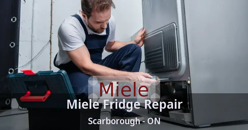 Miele Fridge Repair Scarborough - ON