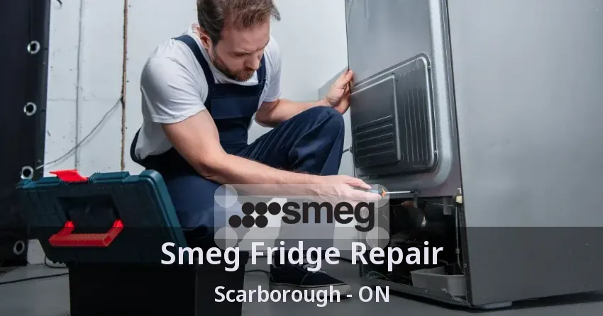 Smeg Fridge Repair Scarborough - ON