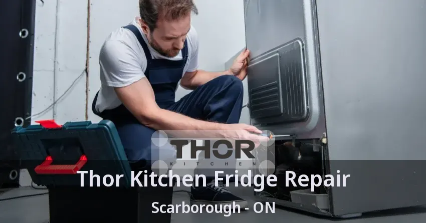Thor Kitchen Fridge Repair Scarborough - ON