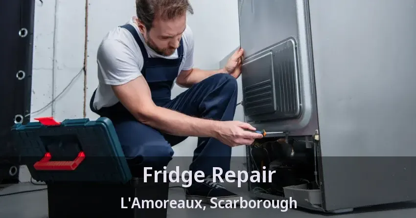 Fridge Repair L'Amoreaux, Scarborough - ON