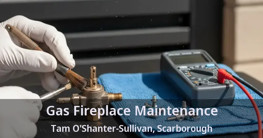 Gas Fireplace Maintenance Tam O'Shanter-Sullivan, Scarborough - ON