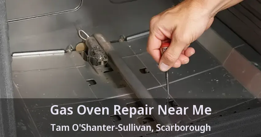 Gas Oven Repair Near Me Tam O'Shanter-Sullivan, Scarborough - ON