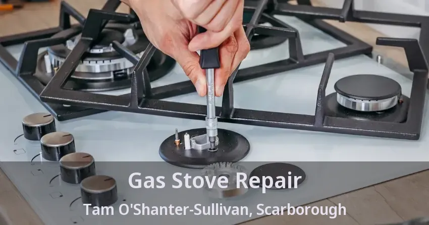 Gas Stove Repair Tam O'Shanter-Sullivan, Scarborough - ON