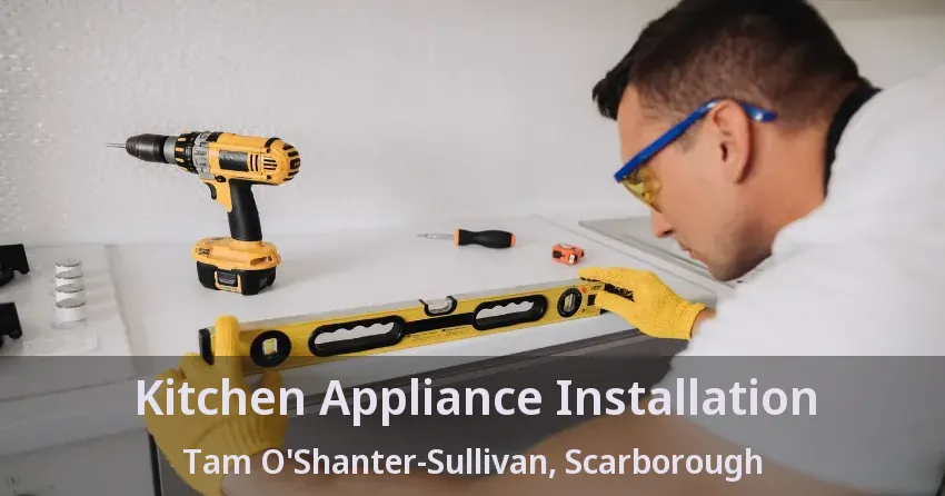 Kitchen Appliance Installation Tam O'Shanter-Sullivan, Scarborough - ON