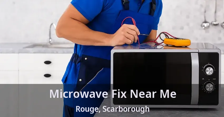 Microwave Fix Near Me Rouge, Scarborough - ON