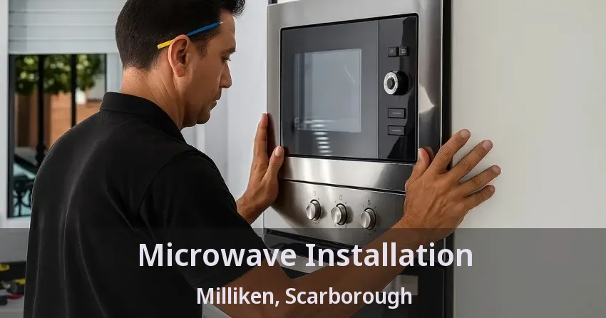 Microwave Installation Milliken, Scarborough - ON