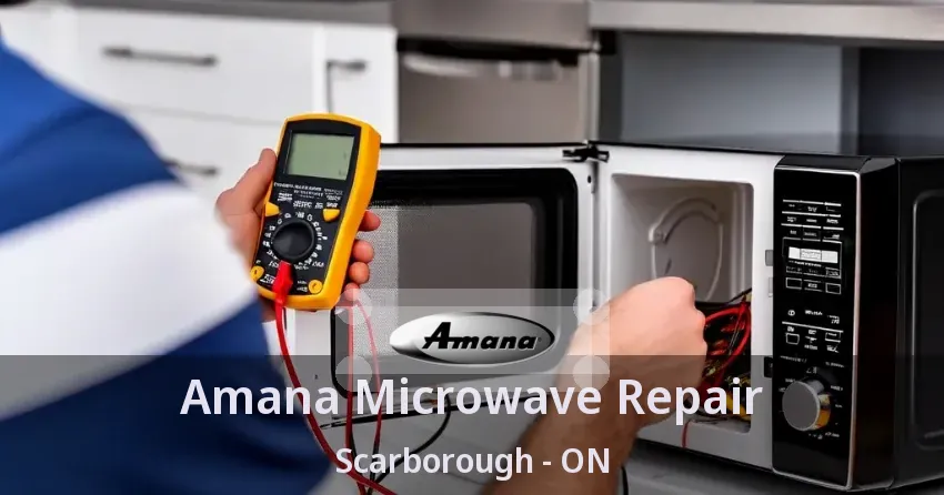 Amana Microwave Repair Scarborough - ON