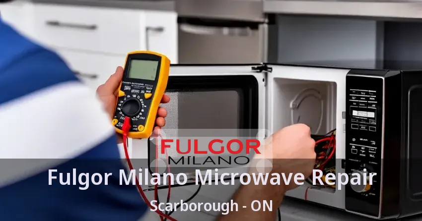 Fulgor Milano Microwave Repair Scarborough - ON