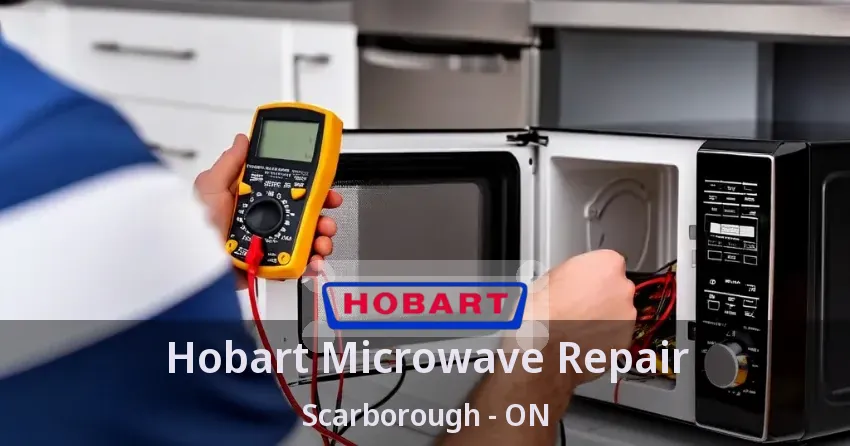 Hobart Microwave Repair Scarborough - ON