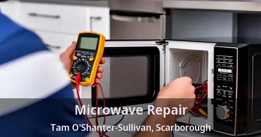 Microwave Repair Tam O'Shanter-Sullivan, Scarborough - ON