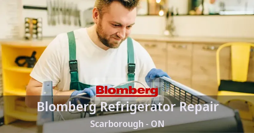 Blomberg Refrigerator Repair Scarborough - ON