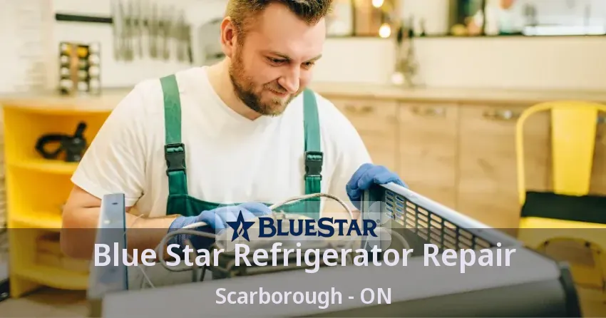 Blue Star Refrigerator Repair Scarborough - ON