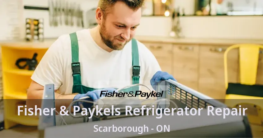 Fisher & Paykels Refrigerator Repair Scarborough - ON