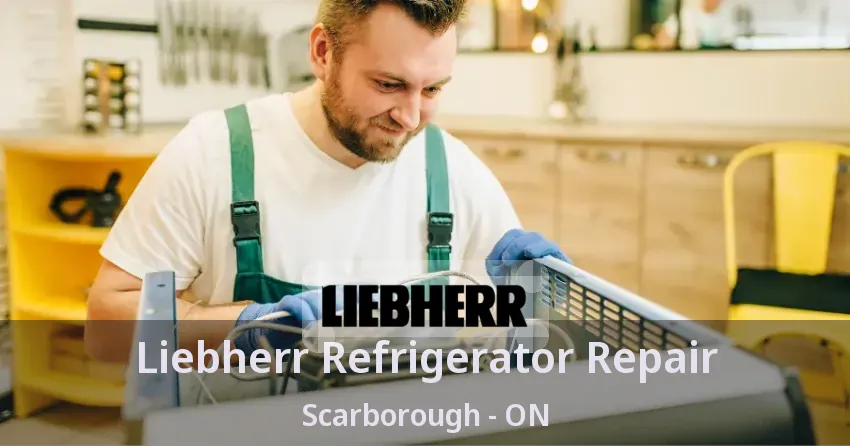 Liebherr Refrigerator Repair Scarborough - ON